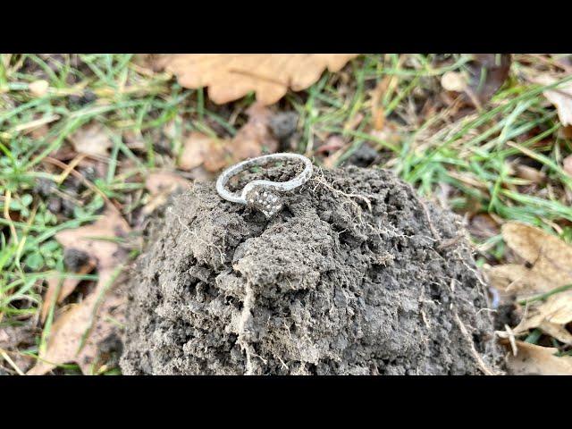 ‍️Metal Detecting NZ‍️ Park hunt with some cool finds and a little Sterling Silver surprise 