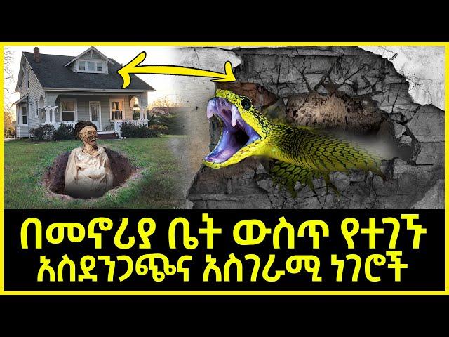 በመኖሪያ ቤት ውስጥ የተገኙአስደንጋጭና አስገራሚ ነገሮች | Abel Birhanu የወይኗ ልጅ 2