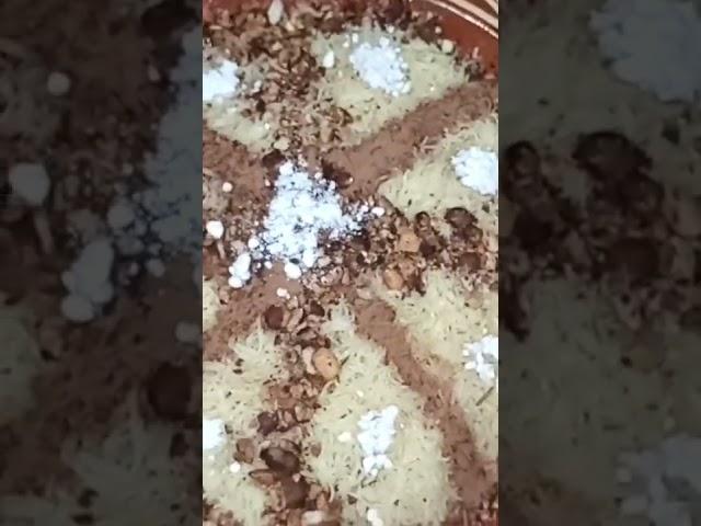 سفة بطريقة سهلة و مبسطة من عند طباخة محترفة