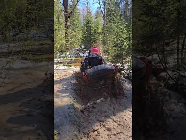 #квадроцикл #atv4x4 #brp #cfmoto #offroading #offroad #atvoffroad
