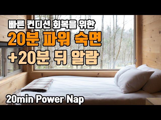 20분 파워 숙면 알람포함⏰ 파워 낮잠으로 빠른 컨디션 회복! | 6.8Hz 세타파