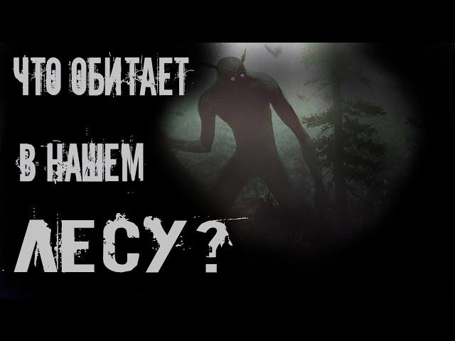 ЧТО ОБИТАЕТ В НАШЕМ ЛЕСУ? УЖАСЫ. МИСТИКА. СТРАШНЫЕ ИСТОРИИ. ХОРРОР. АУДИОКНИГА.