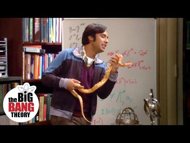 Sheldon Puts a Snake in Raj’s Desk | The Big Bang Theory