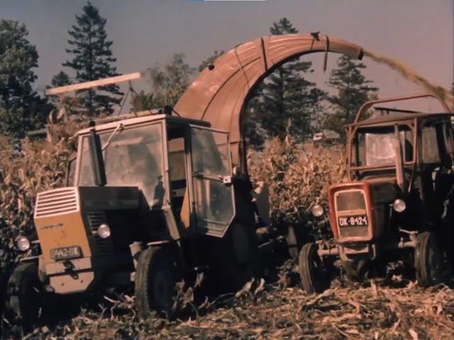 Agrokompleks Kętrzyn - Lato i jesień na polach - 1978