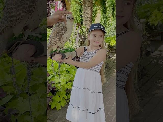 What magic happened in Miracle Garden, Dubai? Anabella is delighted!