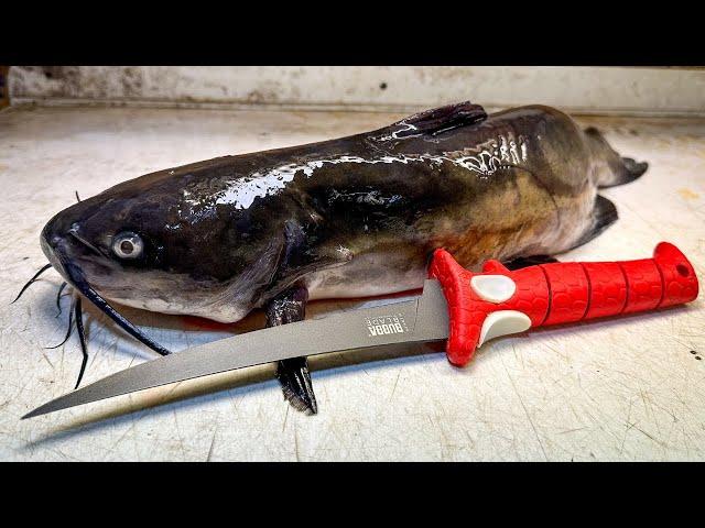 The ONLY CATFISH FILLET Tutorial You'll Ever Need!