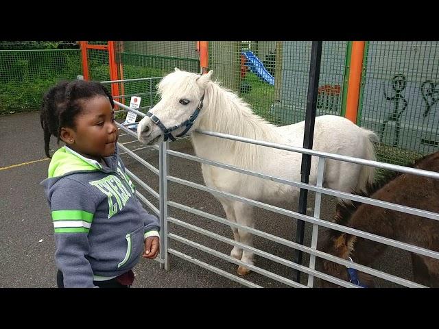 Steve Makoni - Chaenda nechimwe chii Official fan Video