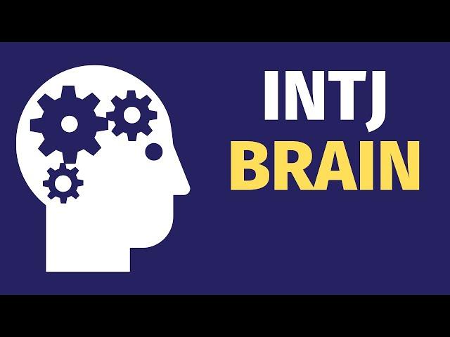 How The INTJ Brain Works: INTJ Cognitive Functions Explained