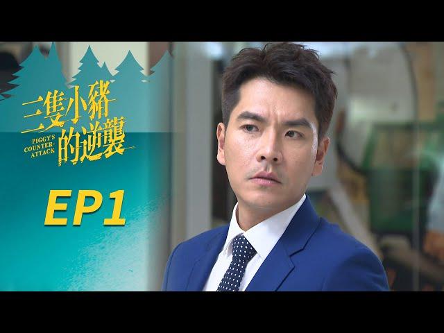 三隻小豬的逆襲 EP1 Piggy's Counterattack｜三立華劇