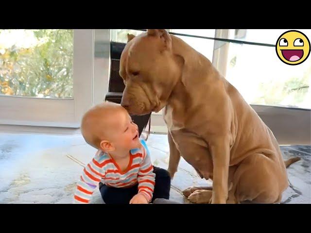  Too Adorable! This Baby & Dog Duo Will Steal Your Heart! ️