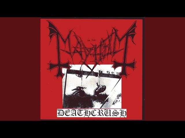 Chainsaw Gutsfuck
