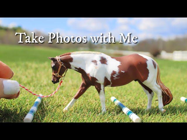 Model Horse Photography Shoot - Breyer, Schleich, CollectA, Resins