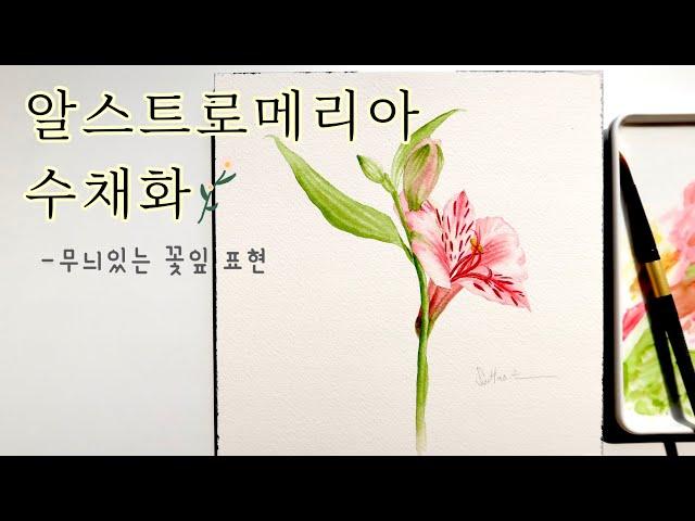 [ENG] 알스트로메리아 수채화-무늬있는 꽃잎 표현 |Watercolor Painting Tutorial