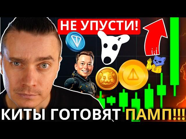 ️TON ВСЕХ ПОТЯНЕТ НА ЛУНУ️MEM DOGS, NOTCOIN, HMSTR, CATS, X IMPIRE, TONCOIN ️ КИТЫ ГОТОВЯТ ПАМП!