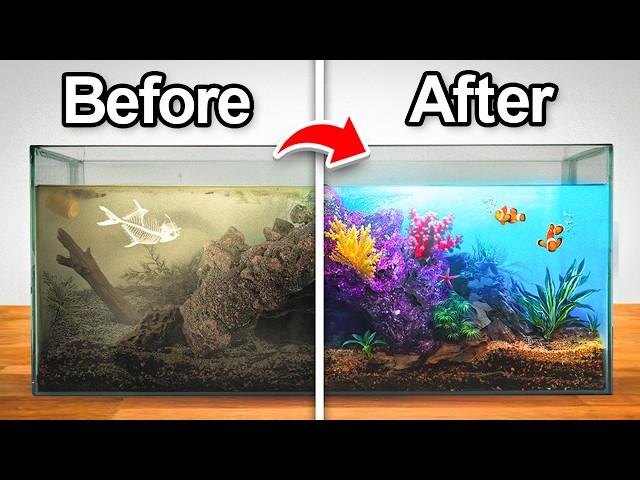 This Aquarium Was Abandoned, So I Transformed It