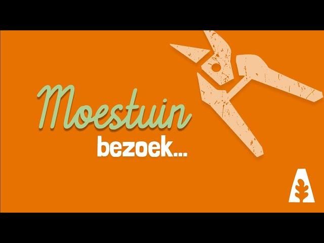 Stadstuinieren - Moestuin bezoek