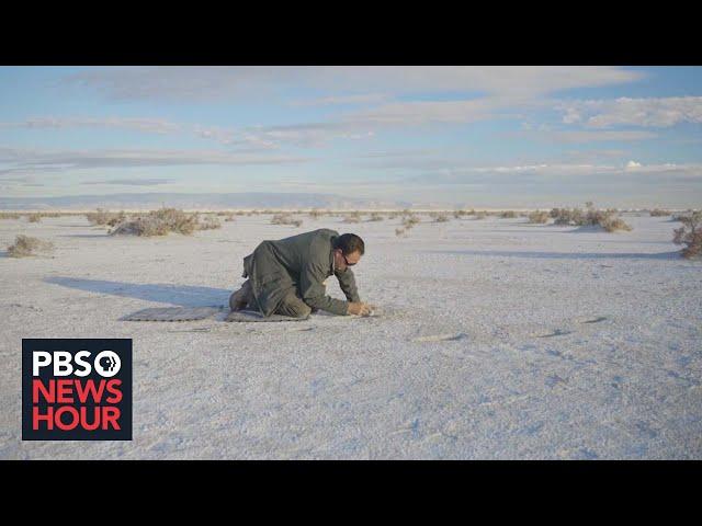 Ancient footprints in New Mexico raise questions about when humans inhabited North America