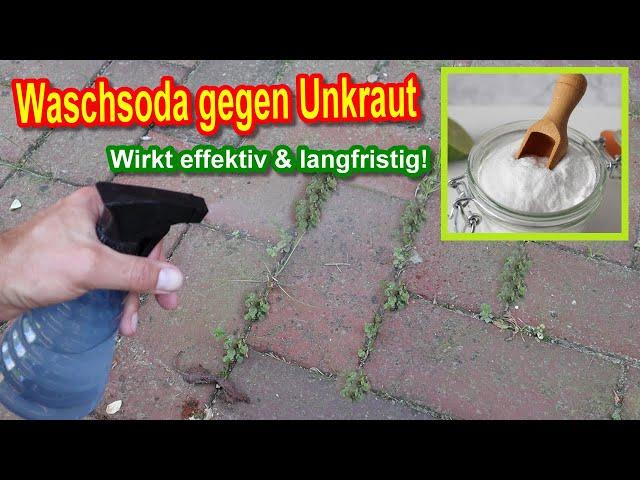 Waschsoda gegen Unkraut - Unkraut mit Soda vernichten & entfernen - Dosierung, Anwendung, Erfahrung