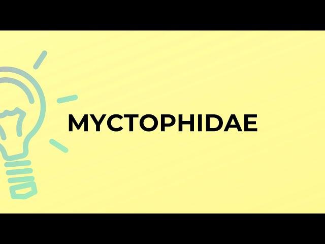 What is the meaning of the word MYCTOPHIDAE?