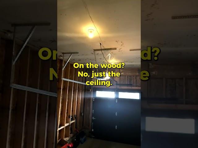 Garage Black Mold  Virtual Inspection - Mold Busters