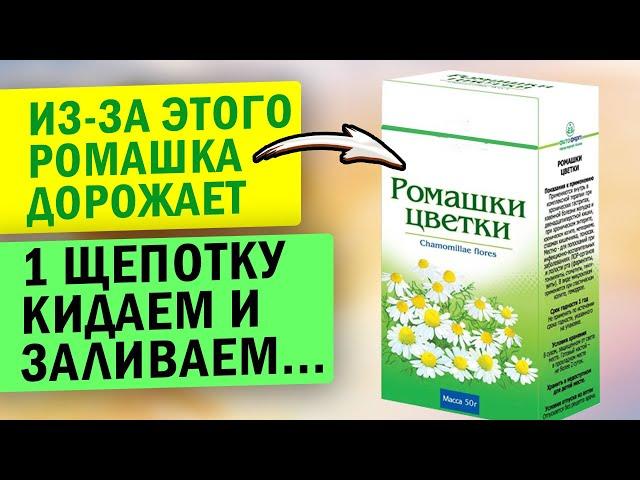 99% людей заваривают ромашку неправильно! Смотри, что исцеляет и как принимать даже...