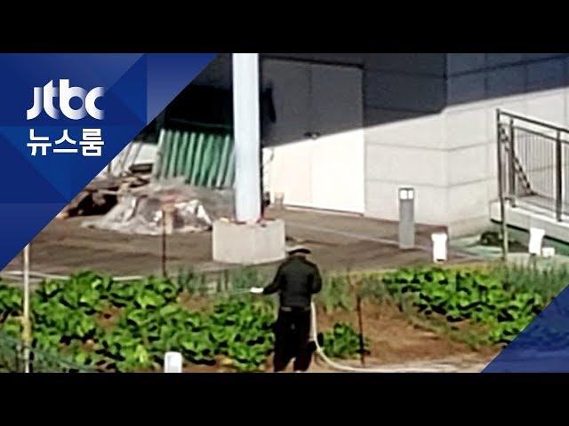 '공공시설' 해운대도서관 옥상에 '개인 텃밭' 적발