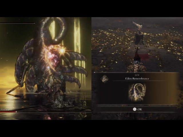 Elden Ring DW Frost Estocs Vs Final Boss