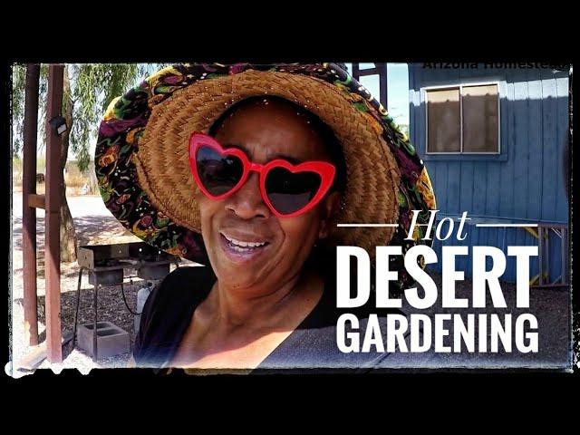 Hot Gardening in the Arizona Desert