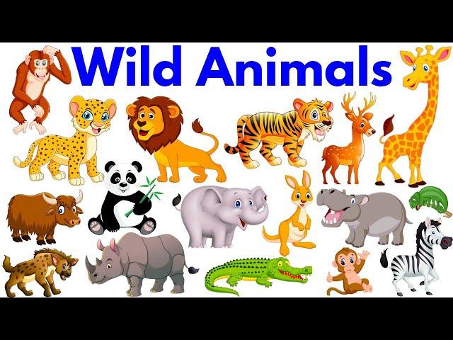 Wild Animals for Kids | Wild Animals with Sounds | wild animals name |#animals #wildanimals #Educare