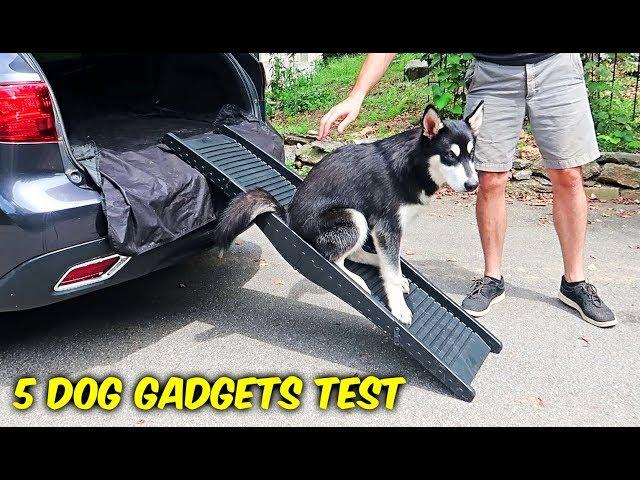 5 Dog Gadgets Put to the Test - Part 7