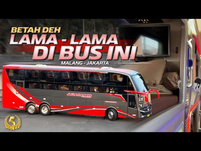 AKHIRNYA NAIK BUS RASA HOTEL MEWAH‼️Trip Malang - Jakarta with Juragan 99 Trans Tweety