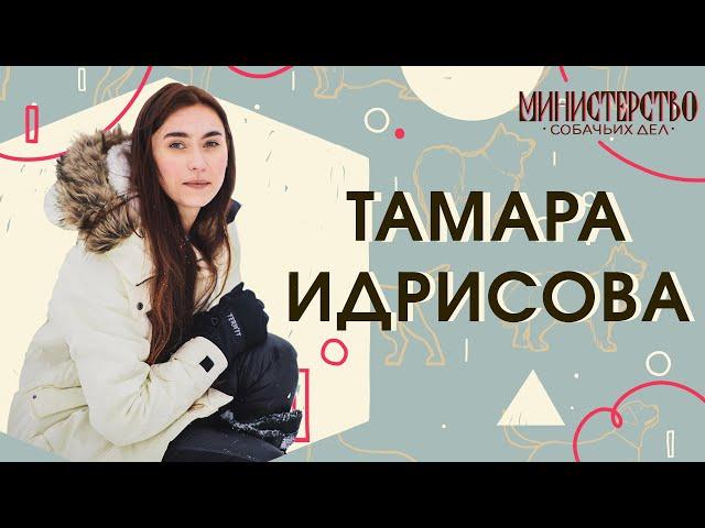 Тамара Идрисова: стресс, воспитание и благополучие собак