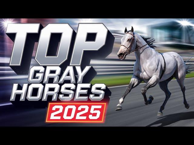 6 Gray Racehorses Taking Over in 2025 | White Abarrio , Sandman and Hit Show