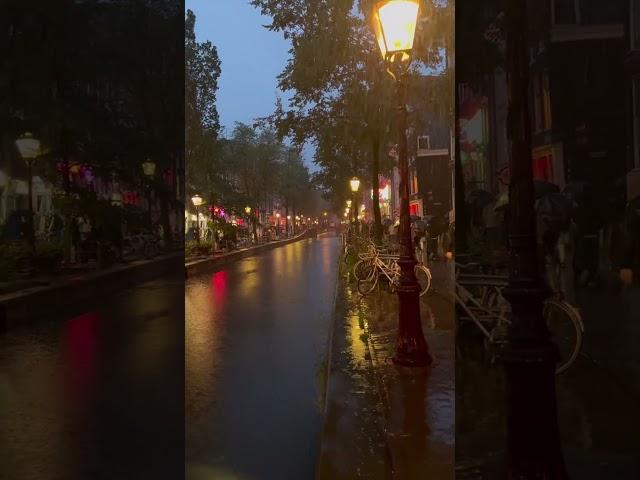 𝙏𝙝𝙞𝙨 𝙞𝙨 𝘼𝙢𝙨𝙩𝙚𝙧𝙙𝙖𝙢,𝙉𝙚𝙩𝙝𝙚𝙧𝙡𝙖𝙣𝙙𝙨  #shorts #viralfeeds #rain #relaxing