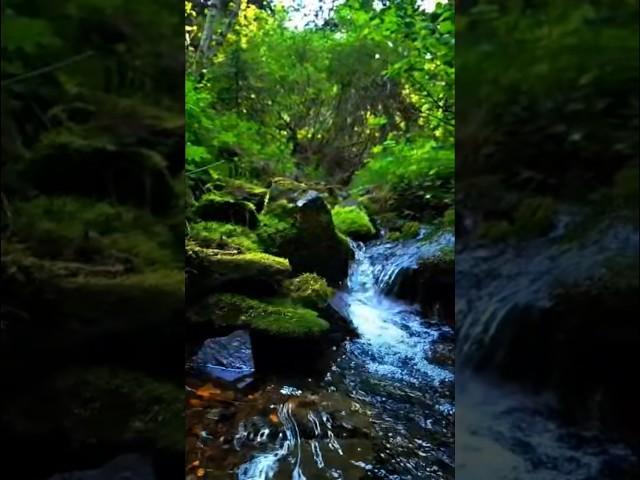 Heaven, tucked away in the Black Hills of South Dakota. A place you can free your mind. #blackhills