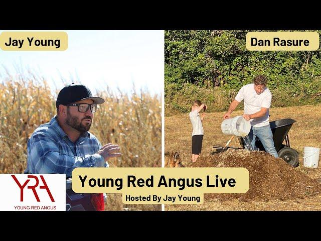 Young Red Angus Live With Dan Rasure (Composting On A Large Scale)