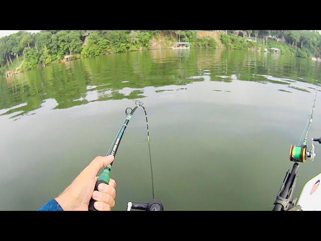 I Hooked a GOLLY WHOPPER Size Flathead In The Middle of the River