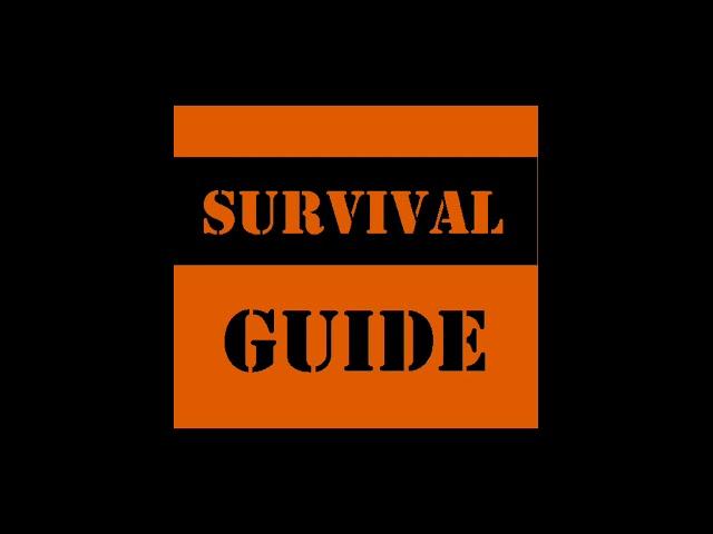 UK Prison Survival Guide: 10 tips for surviving the UK Prison system