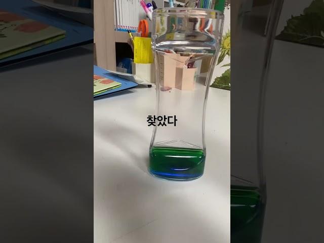 네모의 주말보내는 방법