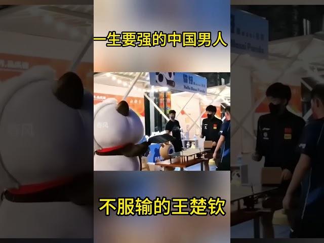 王楚钦一生要强的中国男人，连路边的熊猫都不放过