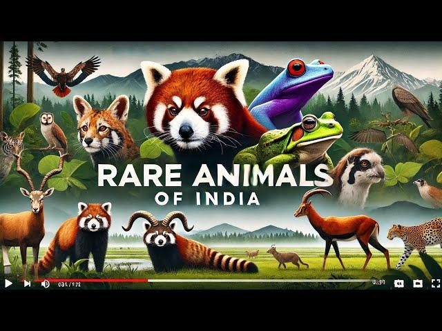 7 Mysterious and Rare Animals of India #rare animals of india#rareanimal