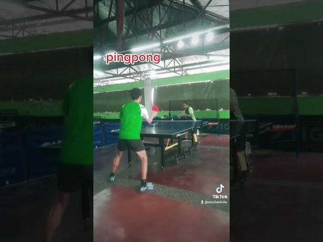 table tennis/ping pong #pingpong #racket #sports #tabletennistraining #short #malong #coaching