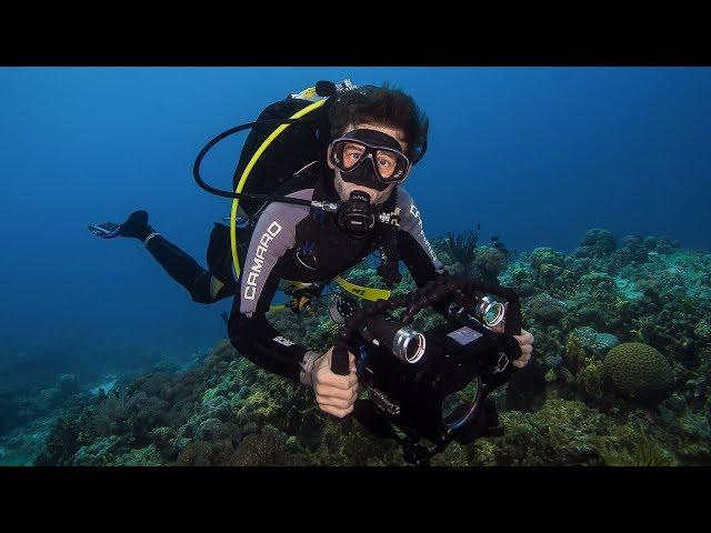 8 tips for FILMING UNDERWATER