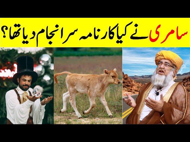 Story Of Golden Calf | What did the Samaritan accomplish? | Mufti Zarwali Khan Official