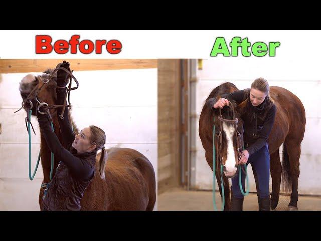 HOW TO BRIDLE A DIFFICULT HORSE 