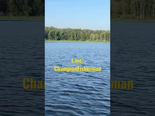 t.me/ChampionFisherman