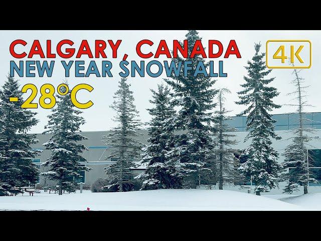 -28°C Extreme Cold and Driving Around NE Calgary Canada