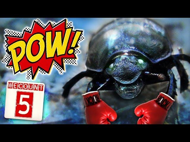 5 Odd Animals With Real Super Powers / Special Abilities