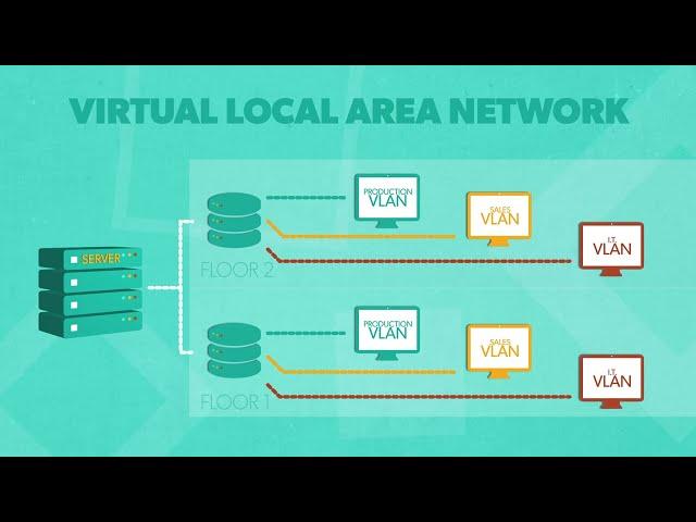 Tagged vs Untagged VLAN: What's the Difference?