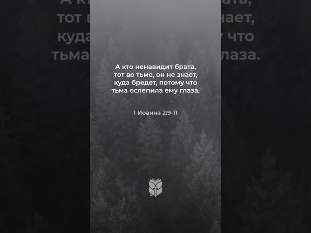 1 Иоанна 2:9-11 в современном переводе #biblevision